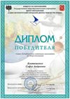 2018-2019 Ковтюшенко Софья 7л (город-обществознание)